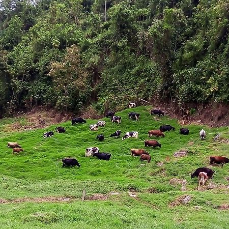 La Lucia Villa Manizales Esterno foto