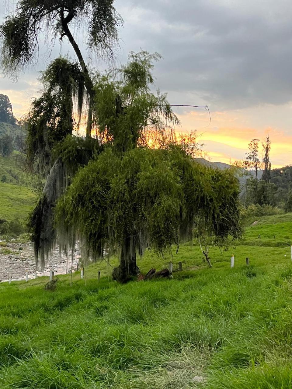 La Lucia Villa Manizales Esterno foto