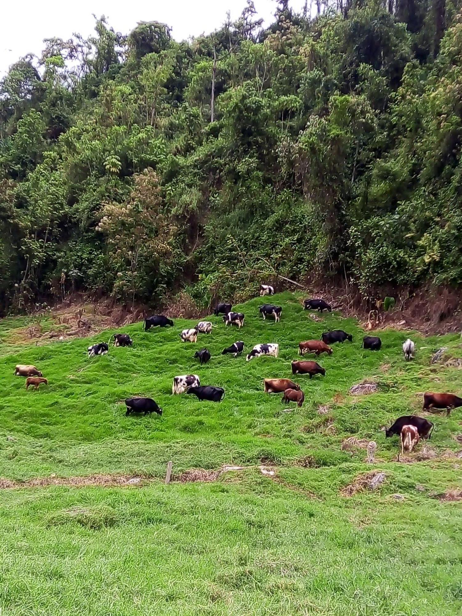 La Lucia Villa Manizales Esterno foto